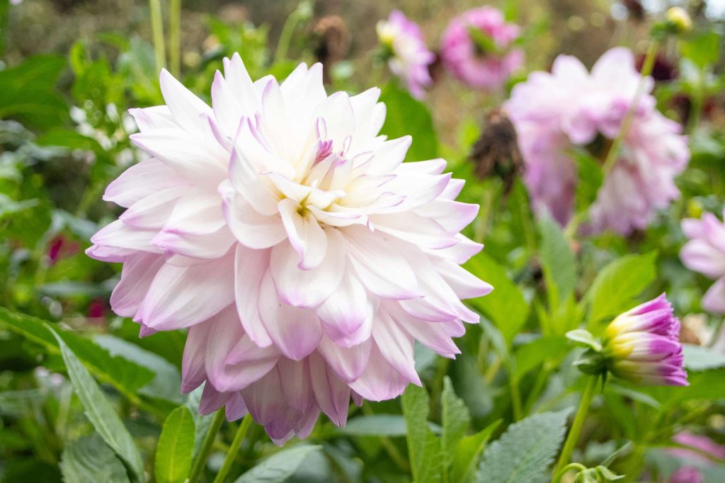 Et særligt sted for ro og fordybelse