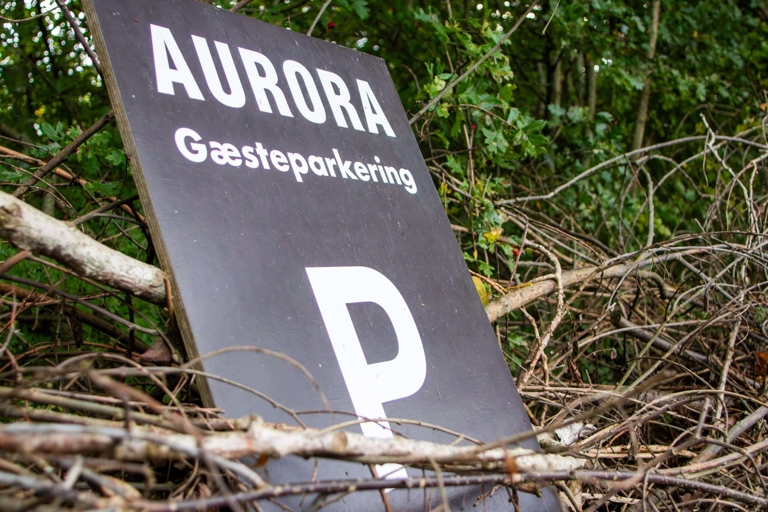 Parkering Psykologoen i skovhaven